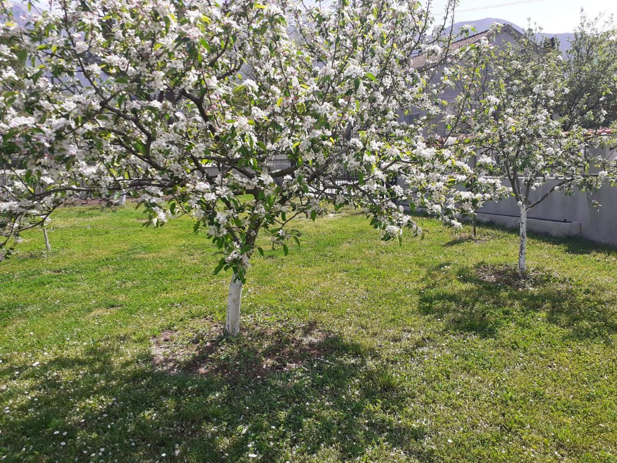 Apartment K2 Radanovići Εξωτερικό φωτογραφία