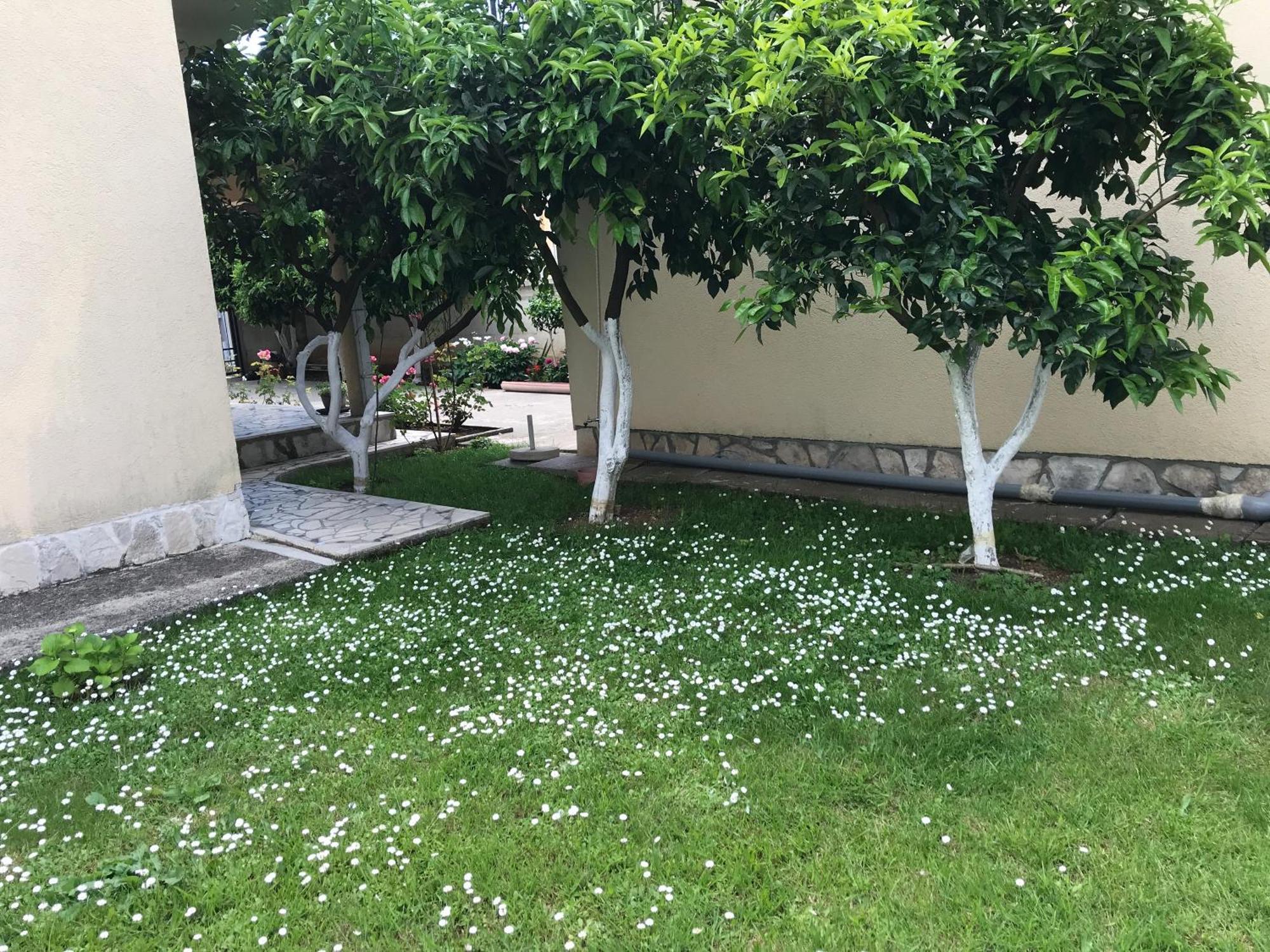 Apartment K2 Radanovići Εξωτερικό φωτογραφία