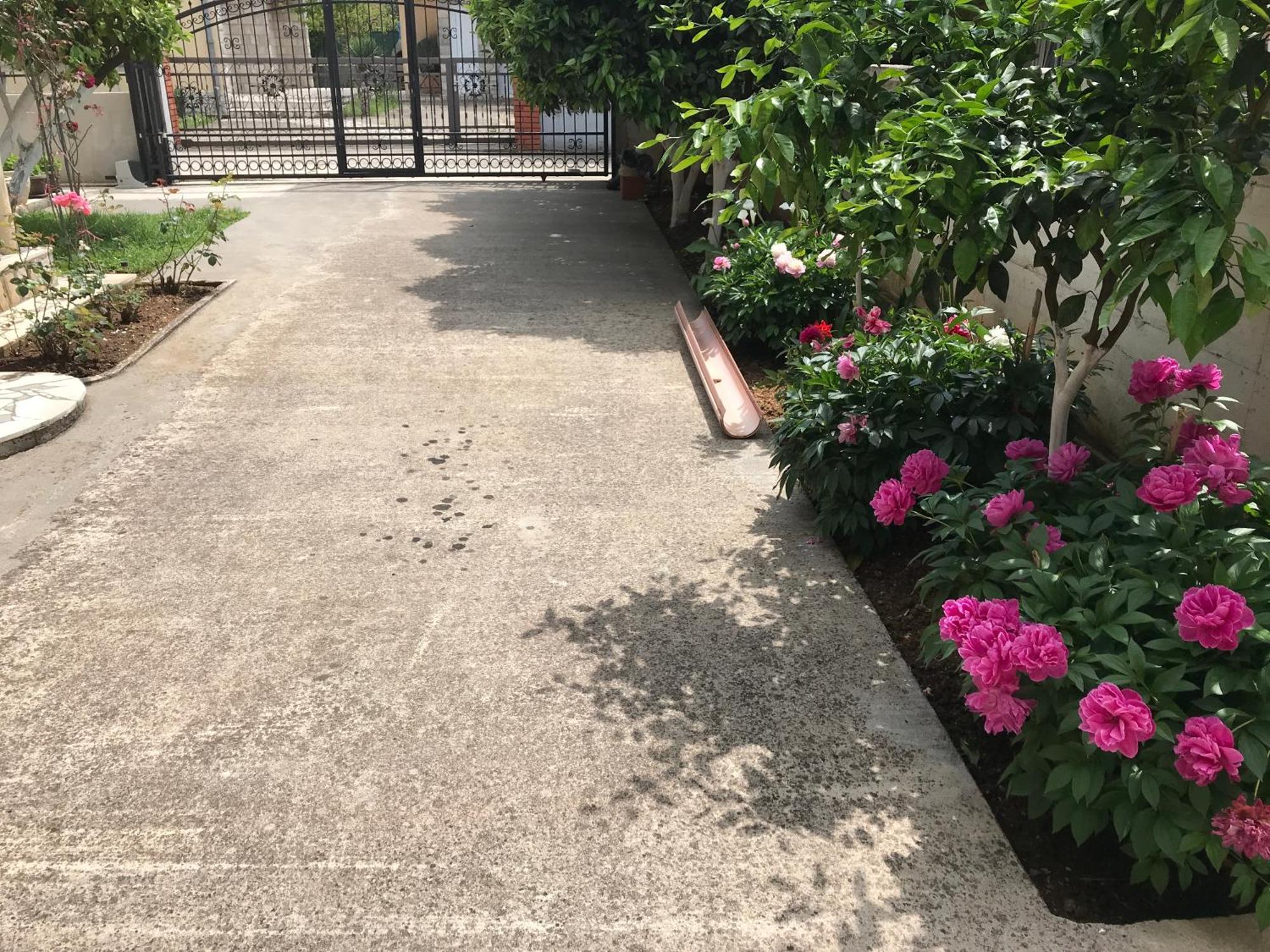 Apartment K2 Radanovići Εξωτερικό φωτογραφία