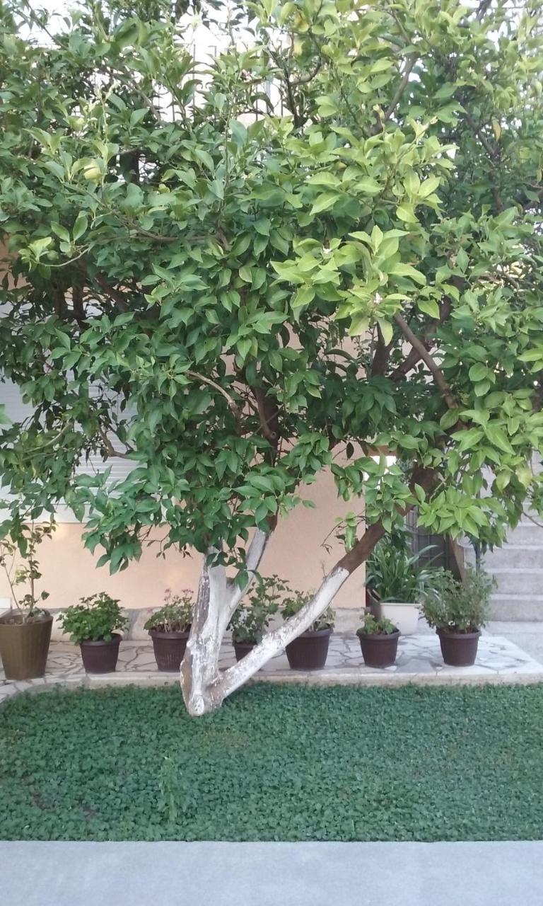Apartment K2 Radanovići Εξωτερικό φωτογραφία